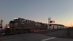NS 4447